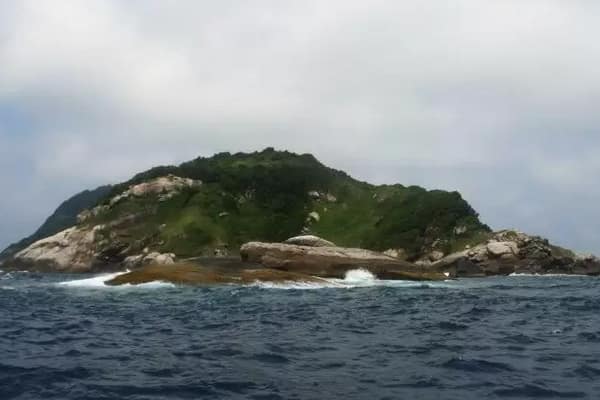 Pulau Ular di Brazil